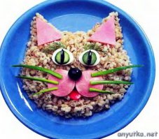 Автор наверно имел ввиду блюда похожие на кошек