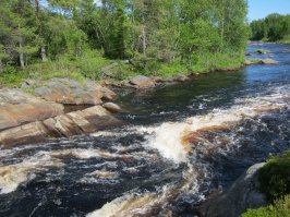 Уже несколько лет сплавляемся по Карельским рекам, в этом году - по Поньгоме, пара фоток оттуда: