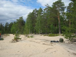 Уже несколько лет сплавляемся по Карельским рекам, в этом году - по Поньгоме, пара фоток оттуда: