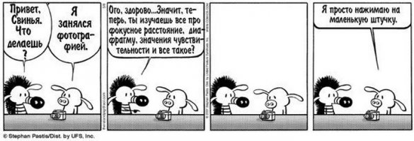 Абсолютно всё, что нужно знать новичкам и любителям о фотографии