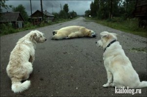 Фотоподборка за 12.08.2015