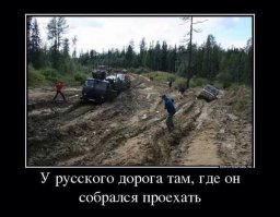 Снег в июле и ковры на стенах: иностранцы о типичных российских предметах и явлениях