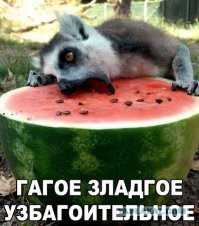 Фотоподборка за 12.08.2015