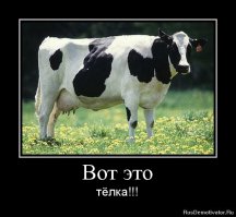 Ну телку  то ты можешь за картошку, а вот девушку вряд ли.
З.Ы. кстати вот тебе одна