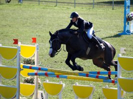 У самого меня есть другая проблема: соревнования часто проходят на траве и снимать часто приходится против света... В результате яркая зелень отвлекает внимание от основного сюжета... Я эту зелень немного обесцвечиваю и затемняю (просто "насыщенностью/цветом" в фотошопе). в результате, объект тоже часто выглядит вклеенным...
"хорошх" примеров щяс, к сожалению не найду, но принцип понятен
