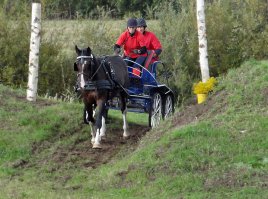 Нуу... я, например, фотошопом иногда правлю неудачную резкость: бывает, присылают фотки, где резкость навелась на фон, а не на объект или аффтар просто не сделал проводку... 
Для публикации (на сайте, посему не очень аккуратно, ибо размеры небольшие) старабсь это немного поправить: чуть размыть фон и подшарпить сам объект... Иногда получается, что выглядит, будто объект вырезан из другой фотки.