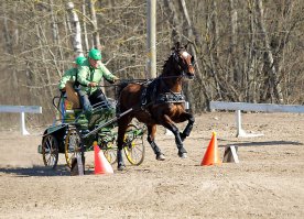 Нуу... я, например, фотошопом иногда правлю неудачную резкость: бывает, присылают фотки, где резкость навелась на фон, а не на объект или аффтар просто не сделал проводку... 
Для публикации (на сайте, посему не очень аккуратно, ибо размеры небольшие) старабсь это немного поправить: чуть размыть фон и подшарпить сам объект... Иногда получается, что выглядит, будто объект вырезан из другой фотки.