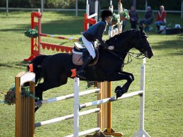 У самого меня есть другая проблема: соревнования часто проходят на траве и снимать часто приходится против света... В результате яркая зелень отвлекает внимание от основного сюжета... Я эту зелень немного обесцвечиваю и затемняю (просто "насыщенностью/цветом" в фотошопе). в результате, объект тоже часто выглядит вклеенным...
"хорошх" примеров щяс, к сожалению не найду, но принцип понятен