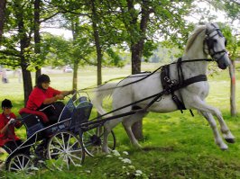 Нуу... я, например, фотошопом иногда правлю неудачную резкость: бывает, присылают фотки, где резкость навелась на фон, а не на объект или аффтар просто не сделал проводку... 
Для публикации (на сайте, посему не очень аккуратно, ибо размеры небольшие) старабсь это немного поправить: чуть размыть фон и подшарпить сам объект... Иногда получается, что выглядит, будто объект вырезан из другой фотки.