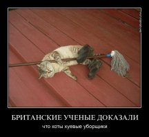 Первобытные кошки истребили древних собак