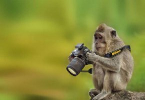 Это похоже свадебный фотограф в Африке..