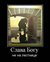 10 занимательных фактов о слонах