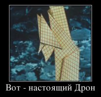 В Австралии орел сбил дрона