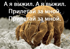 Последнее озеро Марса могло хранить жизнь еще пару сотен миллионов лет