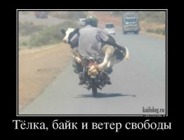 Очередная подборка автоприколов