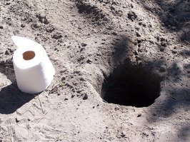 Назад к истокам!