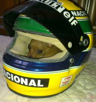 Российские продукты, которым нет равных в мире