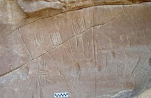 Пауки таксисты - это действительно странно.