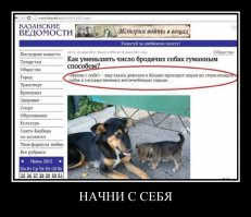 Проект о бездомных животных, который затронет каждого до глубины души