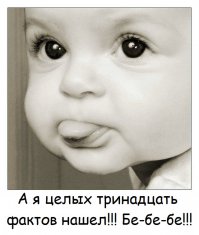 10 занимательных фактов о слонах