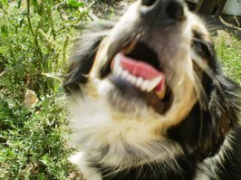 Ооооо....!!!!! День варенья! Поздравляю!!!