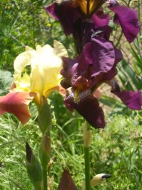 Ооооо....!!!!! День варенья! Поздравляю!!!