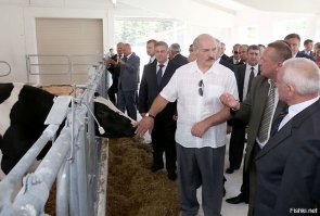 "Белорусские коровы, имеющимся поголовьем, готовы напоить всю Россию молоком". А.Г.Лукашенко