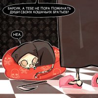 А вы знаете, почему у кошек девять жизней?