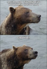 Секрет удачного снимка медведя в естественной среде обитания