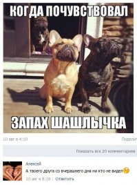 Смешные комментарии из социальных сетей 13.08.15