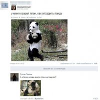 Смешные комментарии из социальных сетей 13.08.15