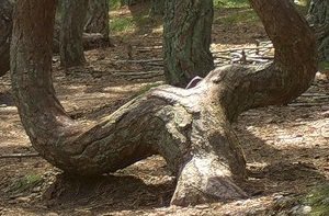 Ну ладно, чё скрывать то. Виноват...