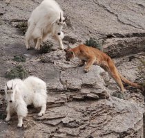 девушка, магазин закрывается! :)