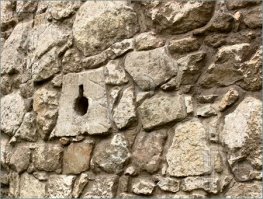 Секрет удачного снимка медведя в естественной среде обитания