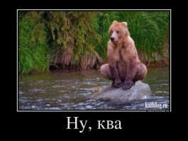 Секрет удачного снимка медведя в естественной среде обитания