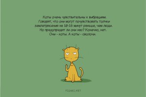 бред....животные начинают скрести дверь и стараются покинуть жильё
(