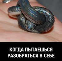 17 пугающе реалистичных графиков об интровертах