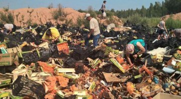 "После уничтожения на полигоне санкционной еды жители российского региона собирают недодавленные трактором персики" Зачем людей заставлять так унижаться, если можно просто им отдать, жалко что ли?