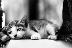 Последствия большого взрыва