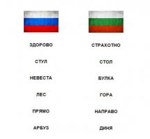 Многие слова в болгарском языке произносятся точно так же, как в русском. Только вот значение у них не то что разное, а порой совершенно противоположное. 

Страшно представить, что будет, если спросить у болгарина дорогу в магазин, где продаются шторы, который прямо перед лесом.