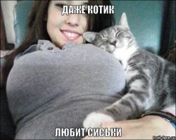 Женщины требуют разрешить им демонстрировать свою грудь