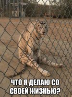 31 фотография для тех, у кого стресс