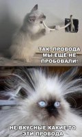31 фотография для тех, у кого стресс