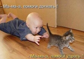 Наша мама громко плачет, потому что все свинячат 