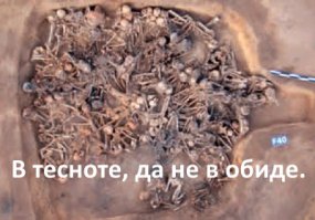 Египетские пословицы и поговорки