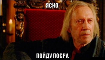 Инстаграм одной сморщенной собачки. В костюмчиках она еще милее!