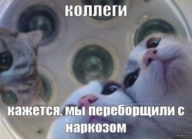 31 фотография для тех, у кого стресс