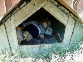 Наша мама громко плачет, потому что все свинячат 