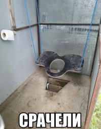 Самые странные туалеты в мире