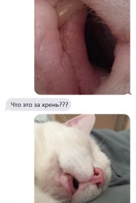 Смешные комментарии из социальных сетей 15.08.15